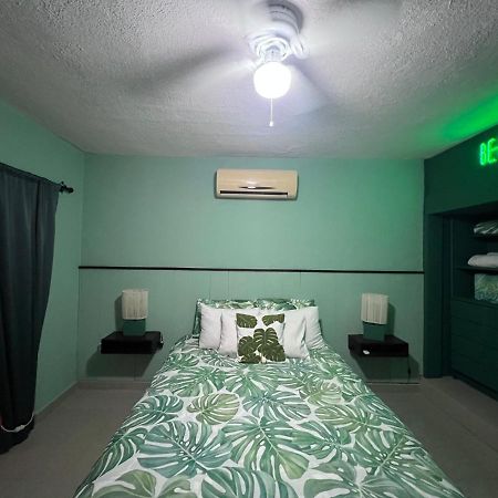 Dici Co-Living Housing Cabo San Lucas Bed and Breakfast Εξωτερικό φωτογραφία