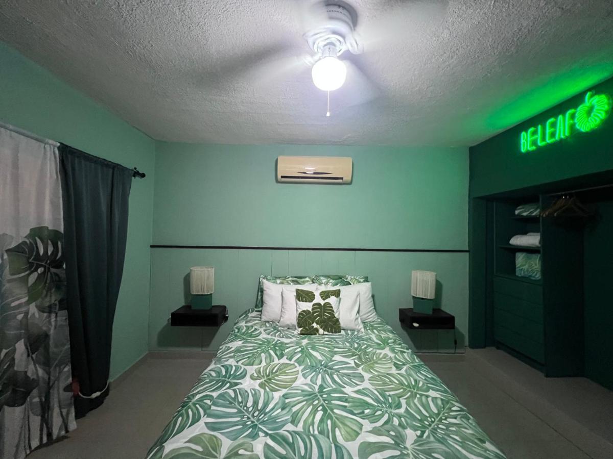 Dici Co-Living Housing Cabo San Lucas Bed and Breakfast Εξωτερικό φωτογραφία