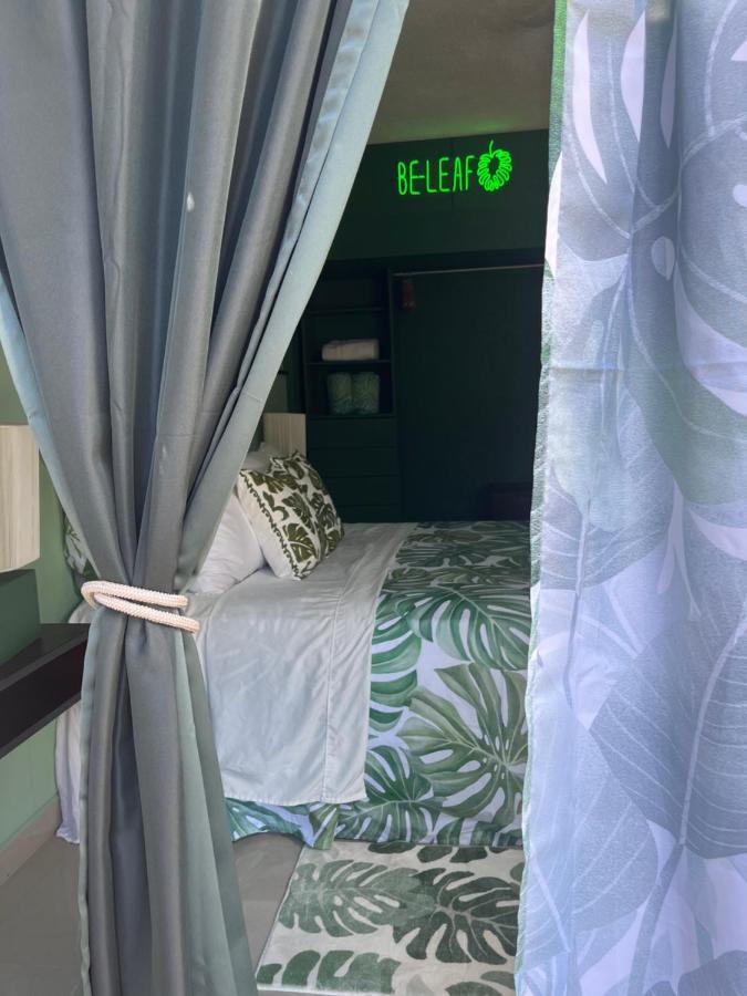 Dici Co-Living Housing Cabo San Lucas Bed and Breakfast Εξωτερικό φωτογραφία
