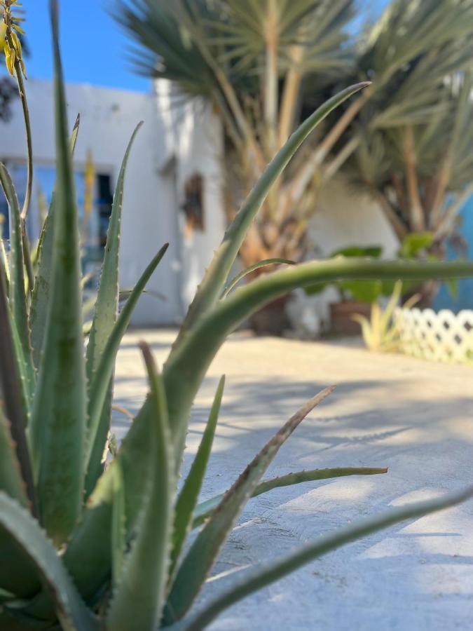 Dici Co-Living Housing Cabo San Lucas Bed and Breakfast Εξωτερικό φωτογραφία