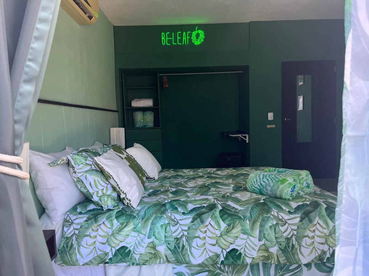 Dici Co-Living Housing Cabo San Lucas Bed and Breakfast Εξωτερικό φωτογραφία