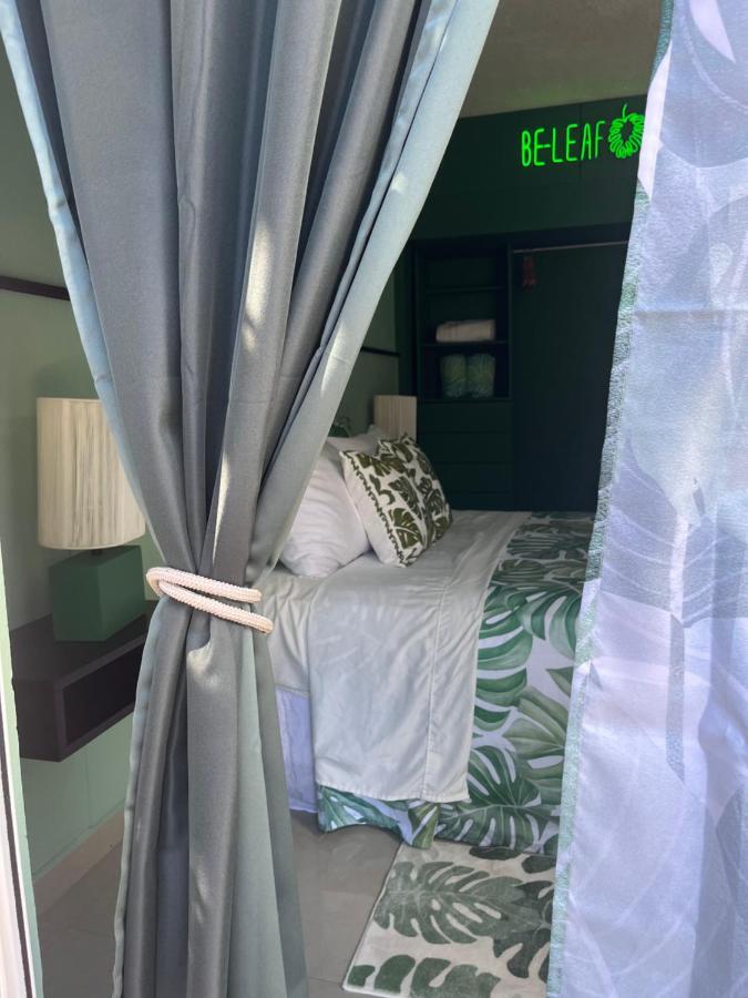 Dici Co-Living Housing Cabo San Lucas Bed and Breakfast Εξωτερικό φωτογραφία