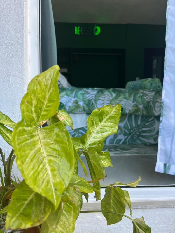 Dici Co-Living Housing Cabo San Lucas Bed and Breakfast Εξωτερικό φωτογραφία