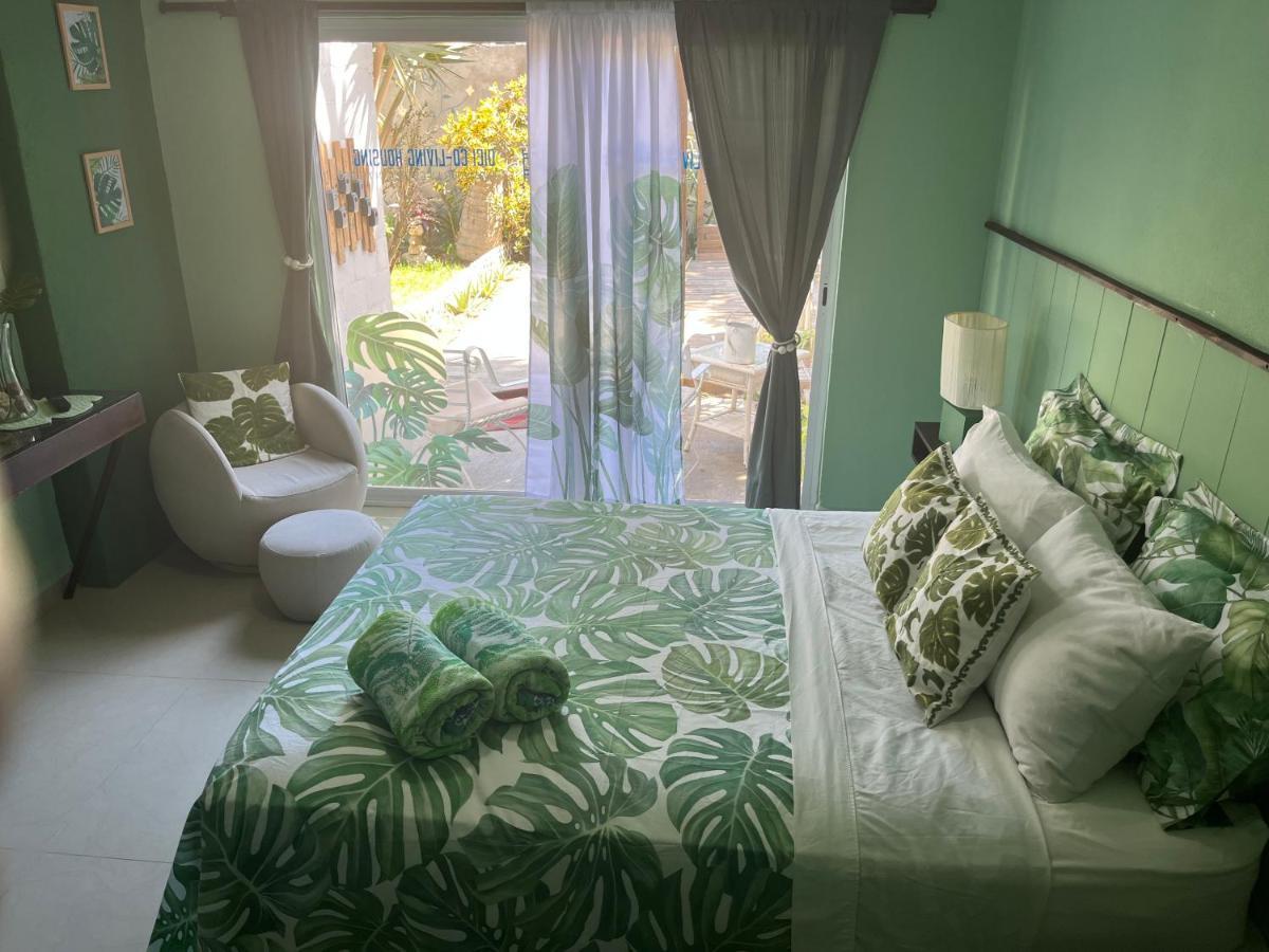 Dici Co-Living Housing Cabo San Lucas Bed and Breakfast Εξωτερικό φωτογραφία