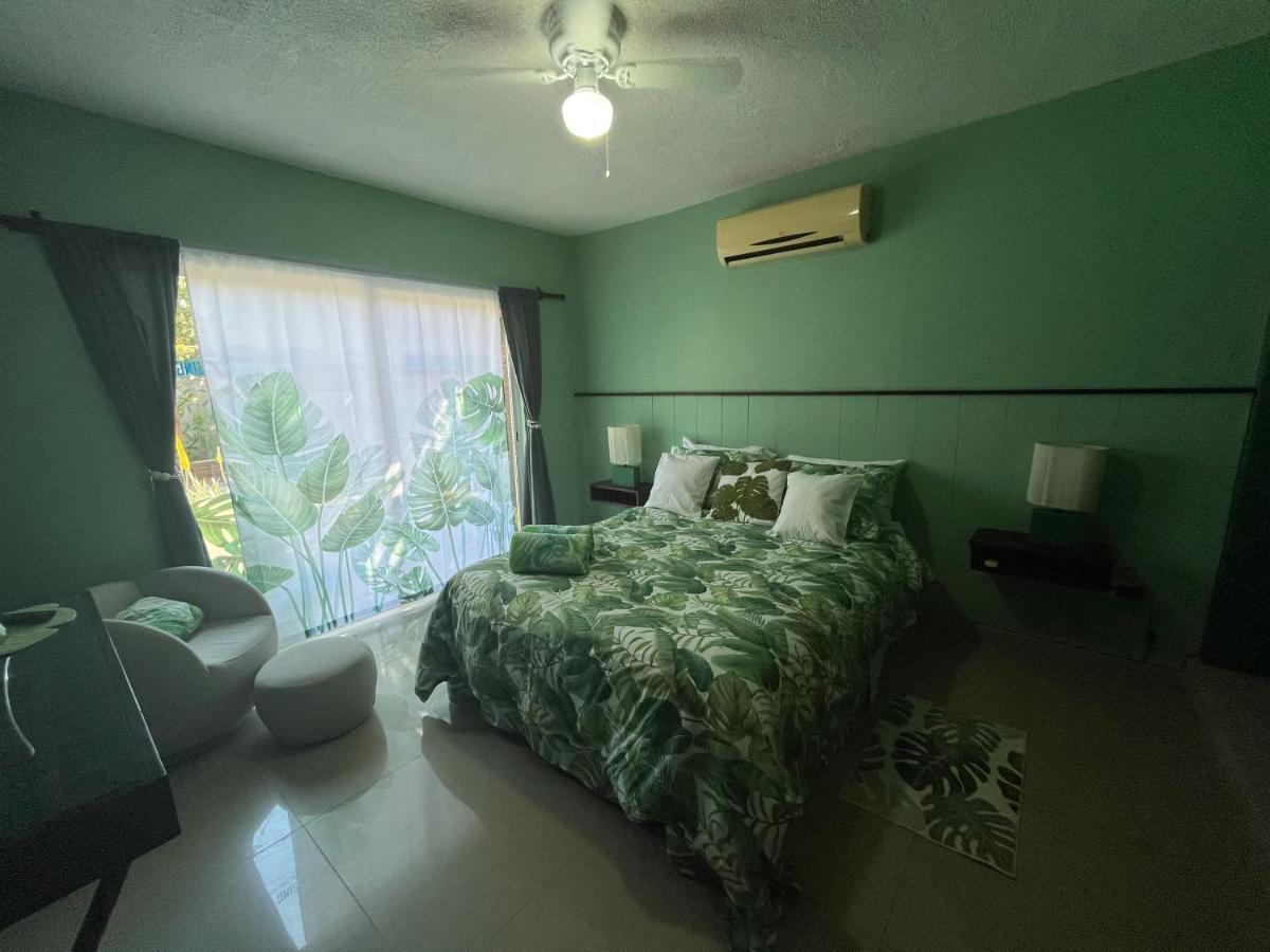Dici Co-Living Housing Cabo San Lucas Bed and Breakfast Εξωτερικό φωτογραφία