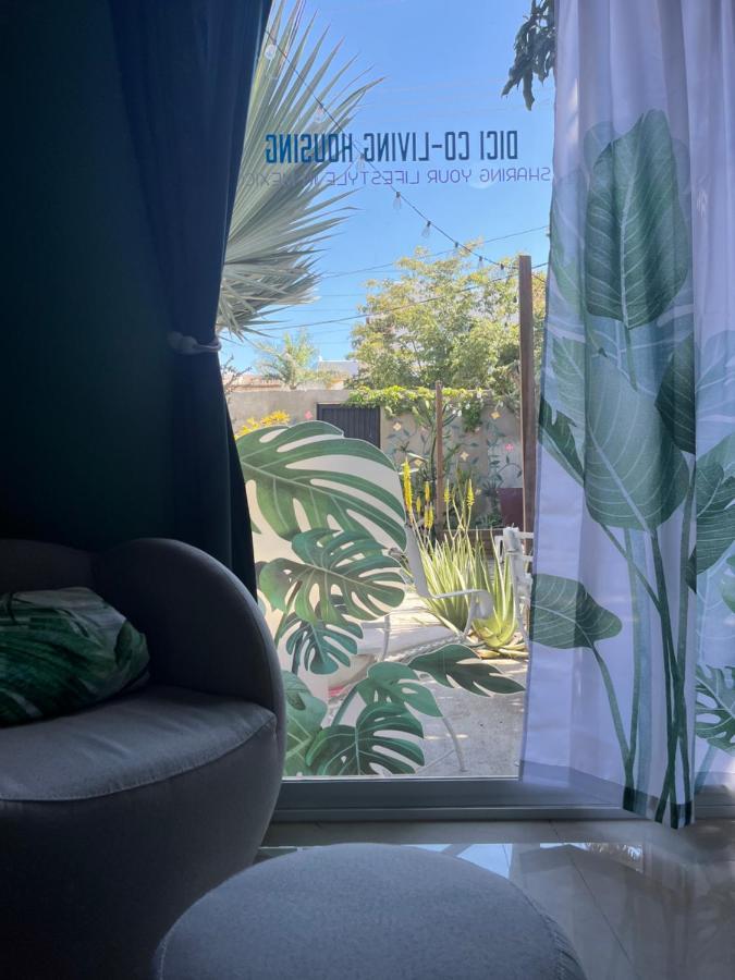 Dici Co-Living Housing Cabo San Lucas Bed and Breakfast Εξωτερικό φωτογραφία